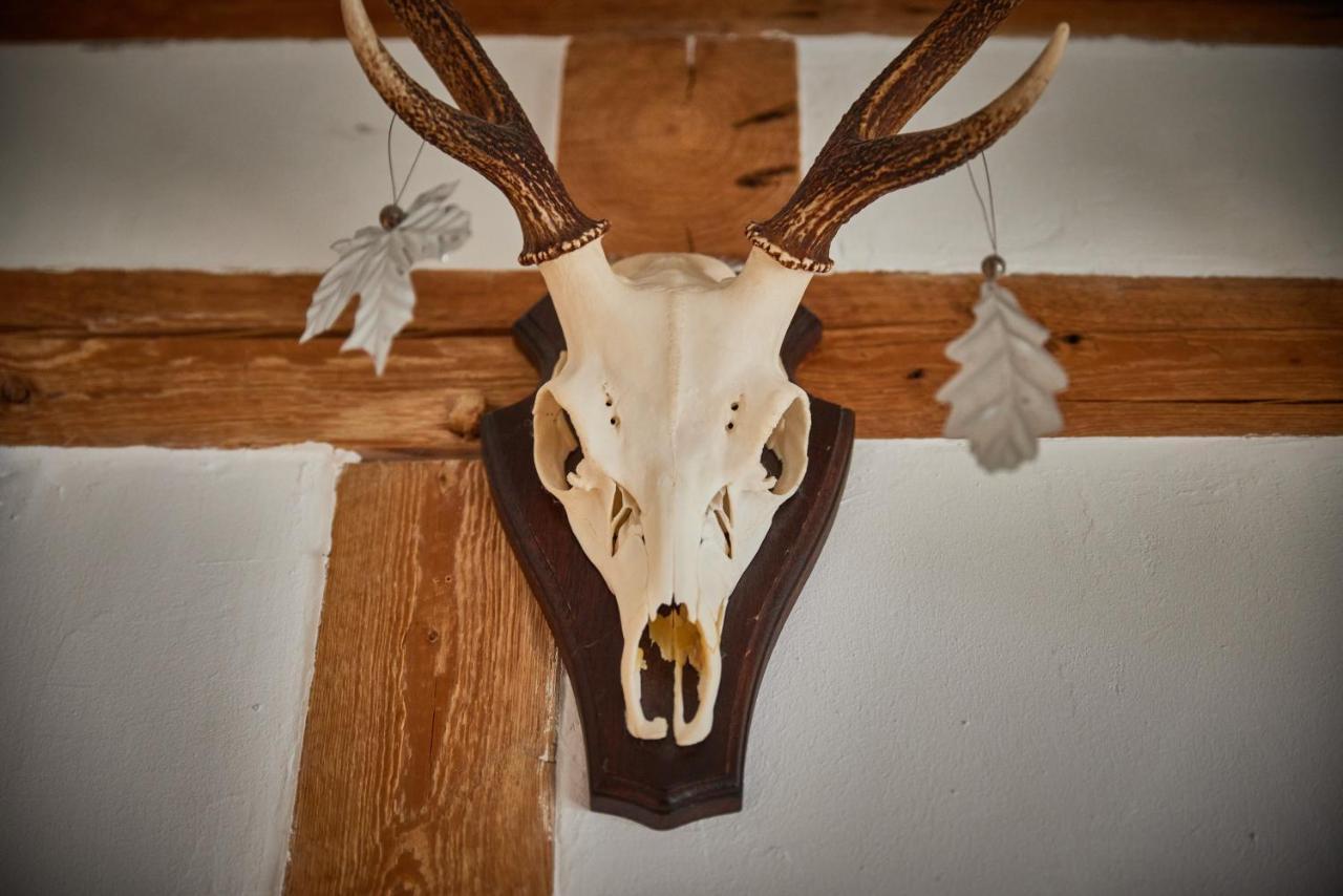 Ferienhaus Asten-Lodge Winterberg Luaran gambar